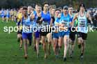 Senior Men and Under-23s, 2023 British Athletics Cross Challenge, Sefton Park, Liverpool. Photo: David T. Hewitson/Sports for All Pics